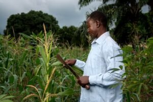 homme-coup-moyen-outil-agricole_23-2149142830